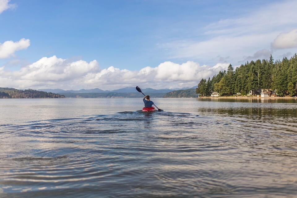 Kayak Canoe Selector - Tamás Kiss has won a canoe at 1000 meters